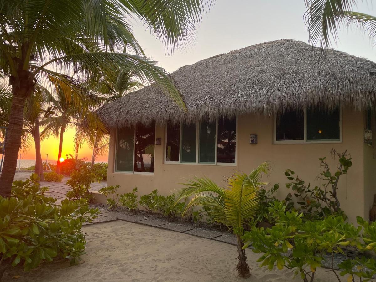 Bungalows Tree Tops - Adults Only Zihuatanejo Exterior foto